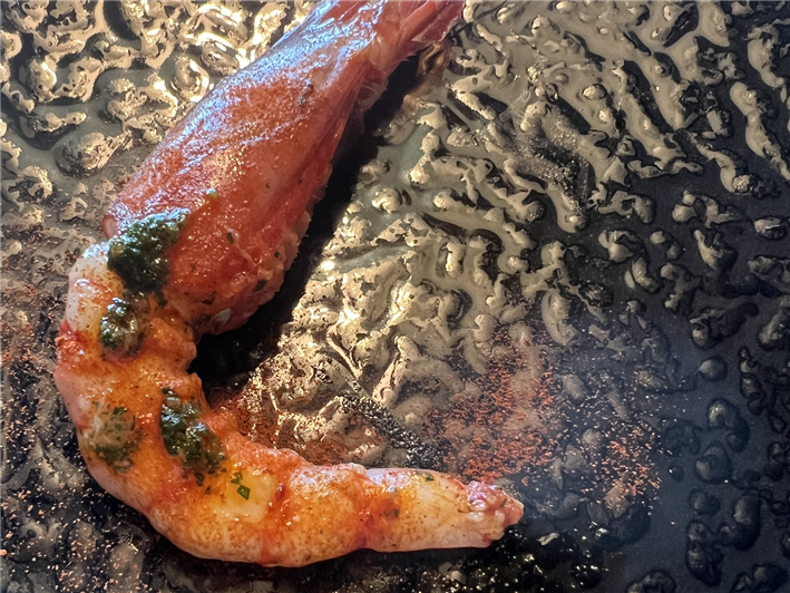 red prawn